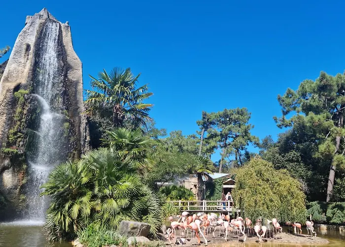 Charmante Maison Proche * Royan